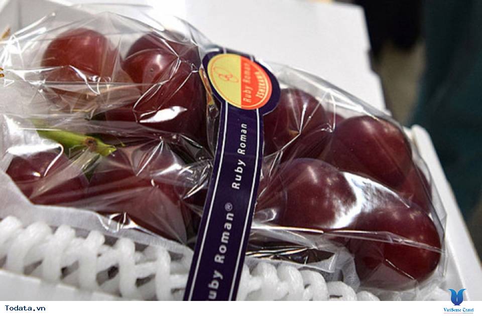 Điểm tên kho tàng trái cây hàng nghìn USD ở Nhật Bản - Ảnh 2 Điểm tên kho tàng trái cây hàng nghìn USD ở Nhật Bản - Ảnh 2