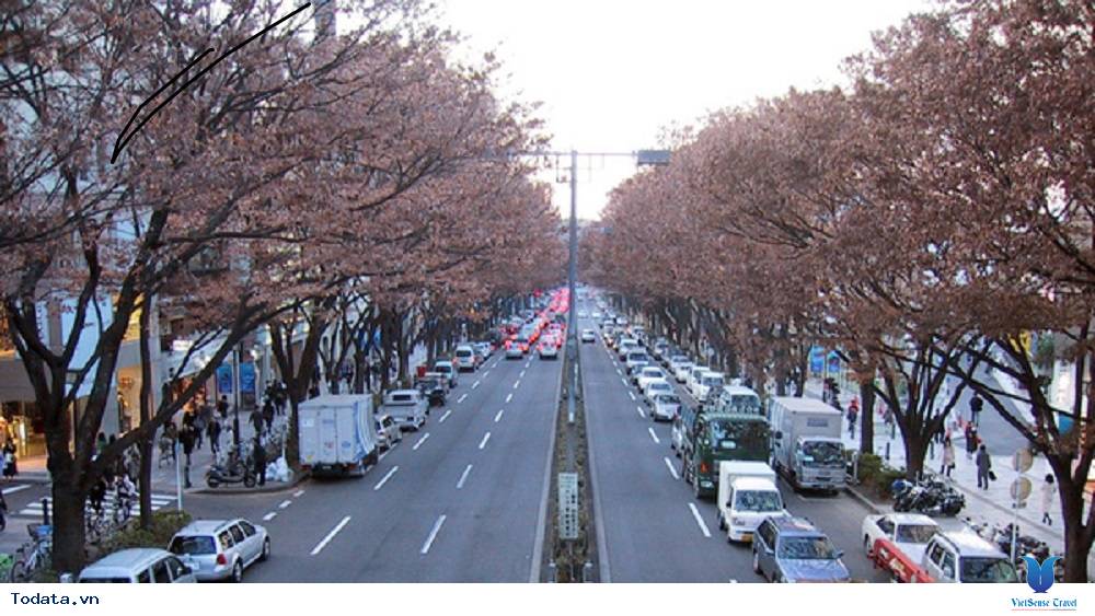 Điều gì hấp dẫn du khách đến với Nhật Bản - Ảnh 3