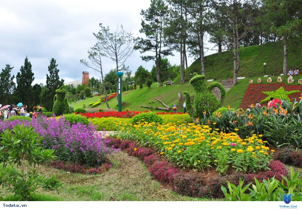 Dịu dàng sắc hoa dại Đà Lạt lúc giao mùa - Ảnh 1