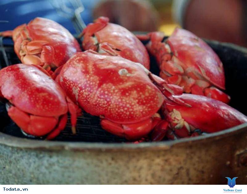 Độc Đáo Hải Sản Hạ Long - Ảnh 1