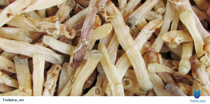 Độc Đáo Hải Sản Hạ Long - Ảnh 4