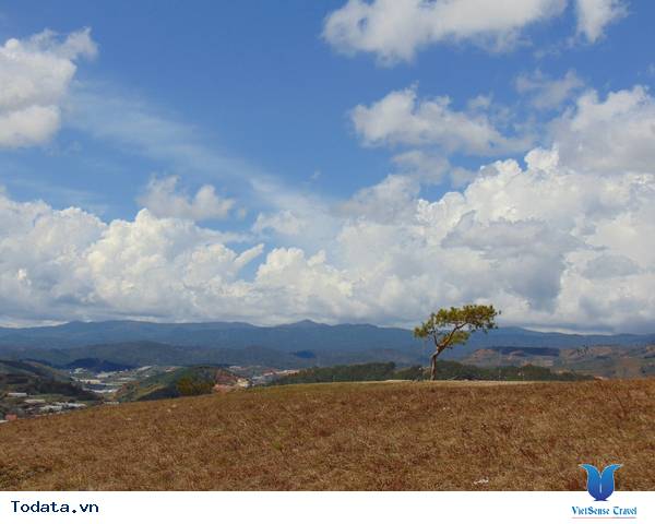 Đồi Thiên Phúc Đức- Nơi Tiên Cảnh Ở Đà Lạt - Ảnh 4 Đồi Thiên Phúc Đức- Nơi Tiên Cảnh Ở Đà Lạt - Ảnh 4