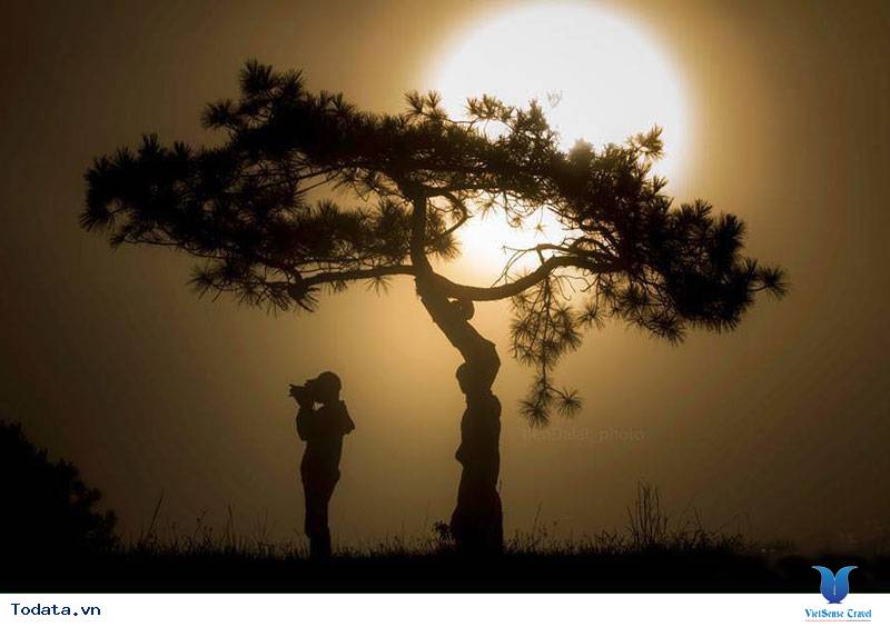 Đồi Thiên Phúc Đức- Nơi Tiên Cảnh Ở Đà Lạt - Ảnh 8 Đồi Thiên Phúc Đức- Nơi Tiên Cảnh Ở Đà Lạt - Ảnh 8