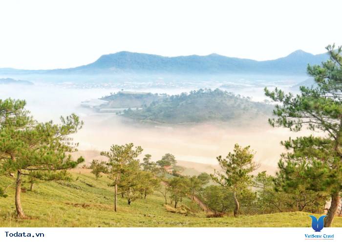 Đồi Thiên Phúc Đức- Nơi Tiên Cảnh Ở Đà Lạt - Ảnh 6 Đồi Thiên Phúc Đức- Nơi Tiên Cảnh Ở Đà Lạt - Ảnh 6