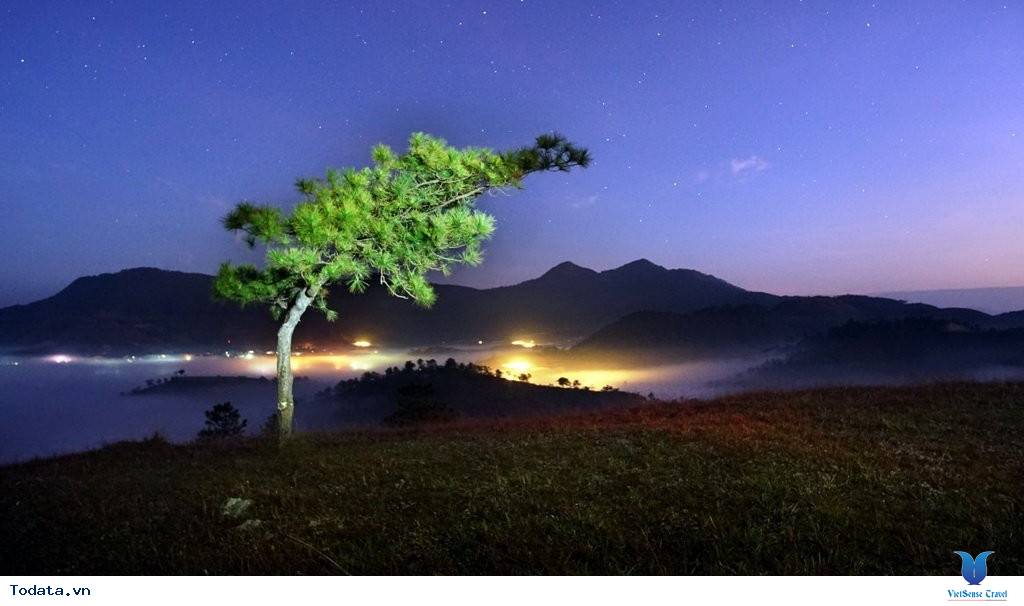 Đồi Thiên Phúc Đức- Nơi Tiên Cảnh Ở Đà Lạt - Ảnh 2 Đồi Thiên Phúc Đức- Nơi Tiên Cảnh Ở Đà Lạt - Ảnh 2