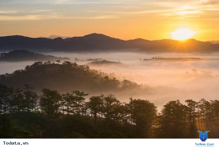 Đồi Thiên Phúc Đức- Nơi Tiên Cảnh Ở Đà Lạt - Ảnh 3 Đồi Thiên Phúc Đức- Nơi Tiên Cảnh Ở Đà Lạt - Ảnh 3