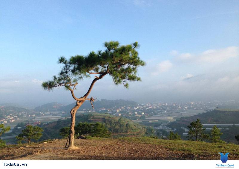 Đồi Thiên Phúc Đức- Nơi Tiên Cảnh Ở Đà Lạt - Ảnh 7 Đồi Thiên Phúc Đức- Nơi Tiên Cảnh Ở Đà Lạt - Ảnh 7