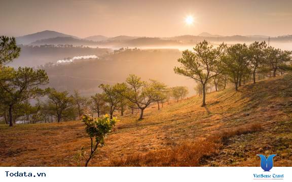 Đồi Thiên Phúc Đức- Nơi Tiên Cảnh Ở Đà Lạt - Ảnh 1 Đồi Thiên Phúc Đức- Nơi Tiên Cảnh Ở Đà Lạt - Ảnh 1