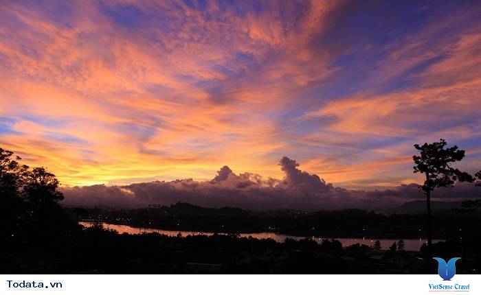 Đồi Thiên Phúc Đức- Nơi Tiên Cảnh Ở Đà Lạt - Ảnh 5 Đồi Thiên Phúc Đức- Nơi Tiên Cảnh Ở Đà Lạt - Ảnh 5