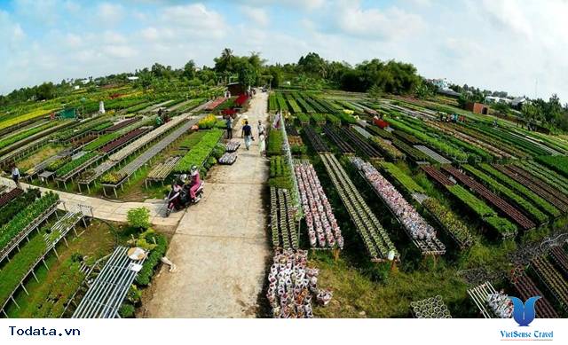 Đồng Tháp: Sắc hoa bên dòng Sa Giang - Ảnh 1