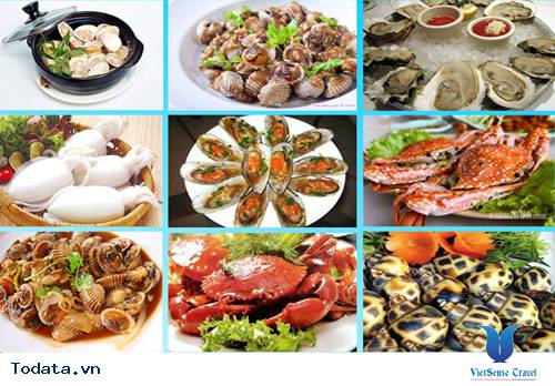 Du Lịch Cô Tô Khám Phá Biển Hồng Vàn - Ảnh 8