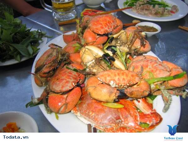 Du Lịch Cô Tô Khám Phá Biển Hồng Vàn - Ảnh 9