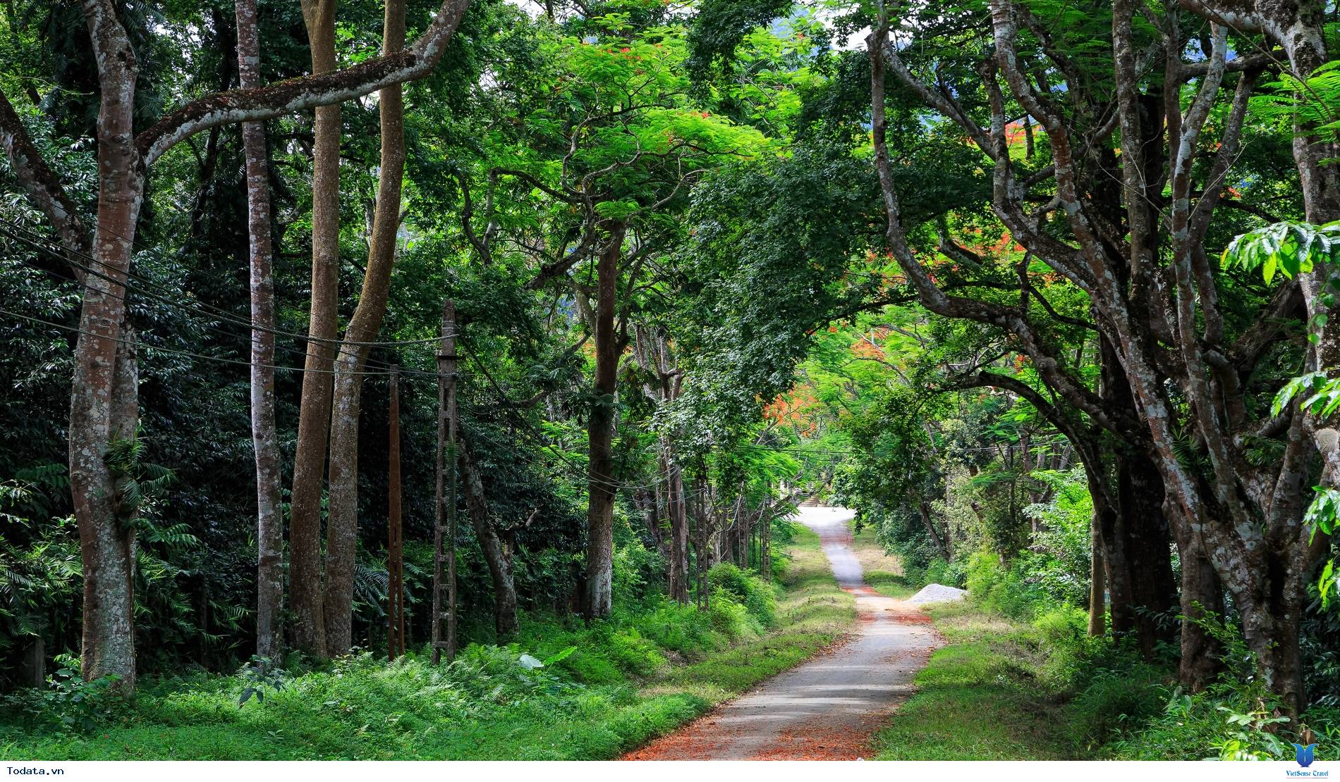 Du Lịch Đến Ninh Bình Nên Vui Chơi Ở Đâu - Ảnh 6 Du Lịch Đến Ninh Bình Nên Vui Chơi Ở Đâu - Ảnh 6