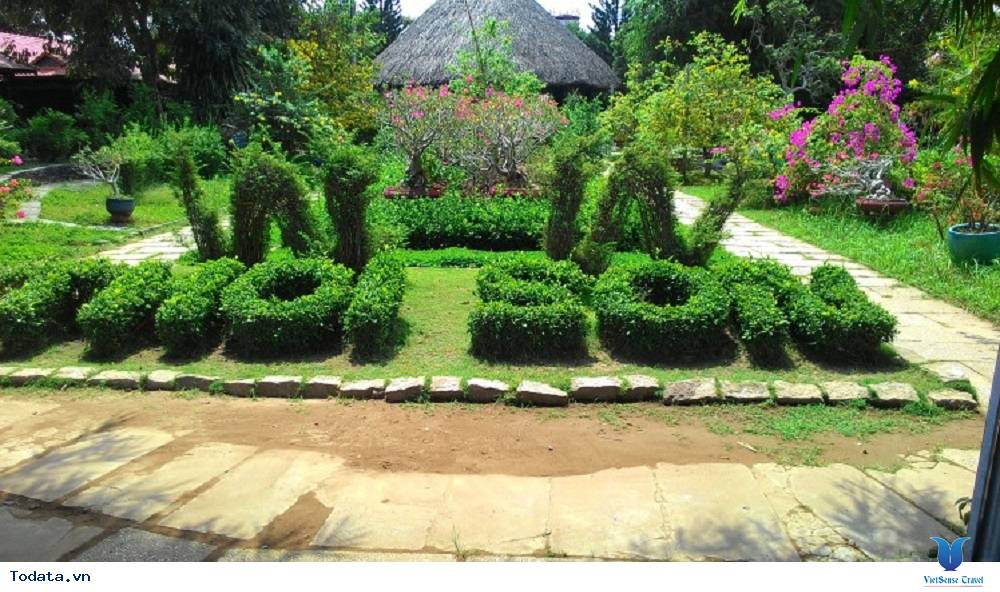 Du lịch miệt vườn ở cù lao Thới Sơn - Ảnh 1