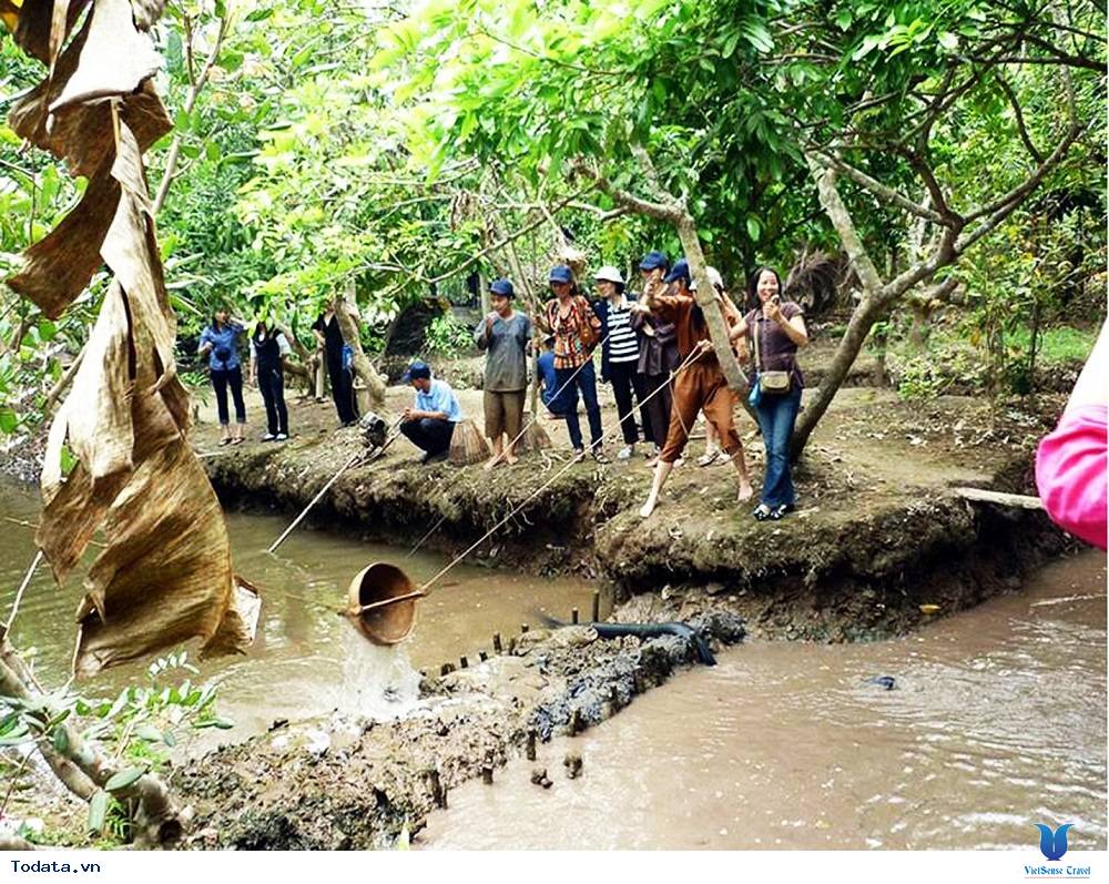 Du lịch miệt vườn ở cù lao Thới Sơn - Ảnh 2