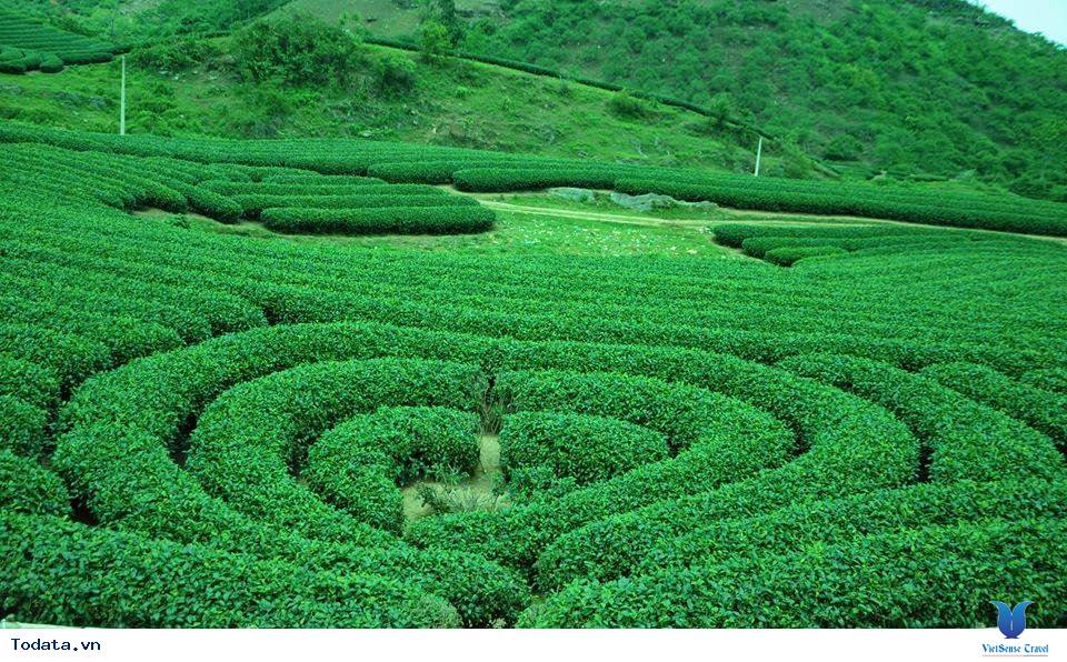 Du lịch Mộc Châu dịp 30/4-1/5 có gì đặc sắc? - Ảnh 2