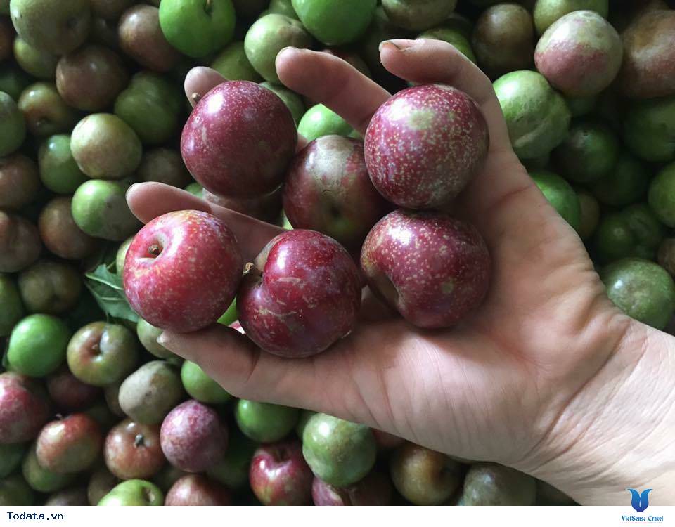 Du lịch Mộc Châu dịp 30/4-1/5 có gì đặc sắc? - Ảnh 3