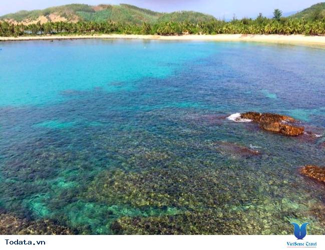 Đến Phú Yên ngắm bãi Rạng – bãi Ôm, nơi vẻ đẹp tự nhiên còn nguyên vẹn - Ảnh 5