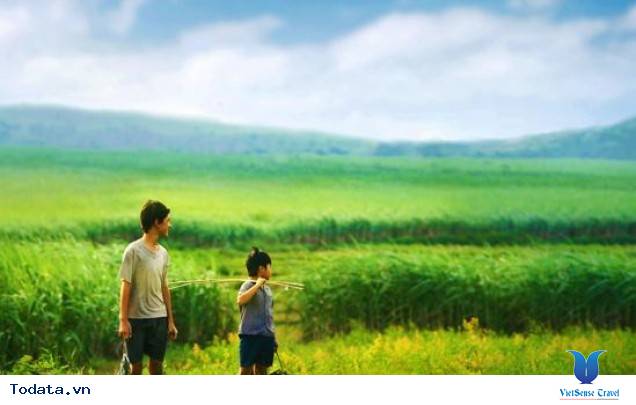 Du Lịch Phú Yên Và Tất Cả Những Gì Cần Biết Trước Khi Đi - Ảnh 1