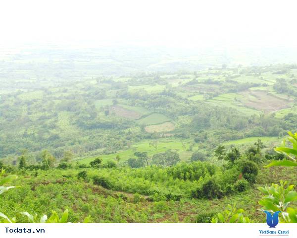 Du Lịch Phú Yên Và Tất Cả Những Gì Cần Biết Trước Khi Đi - Ảnh 12