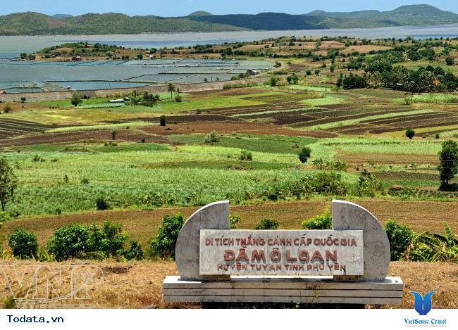 Du Lịch Phú Yên Và Tất Cả Những Gì Cần Biết Trước Khi Đi - Ảnh 5