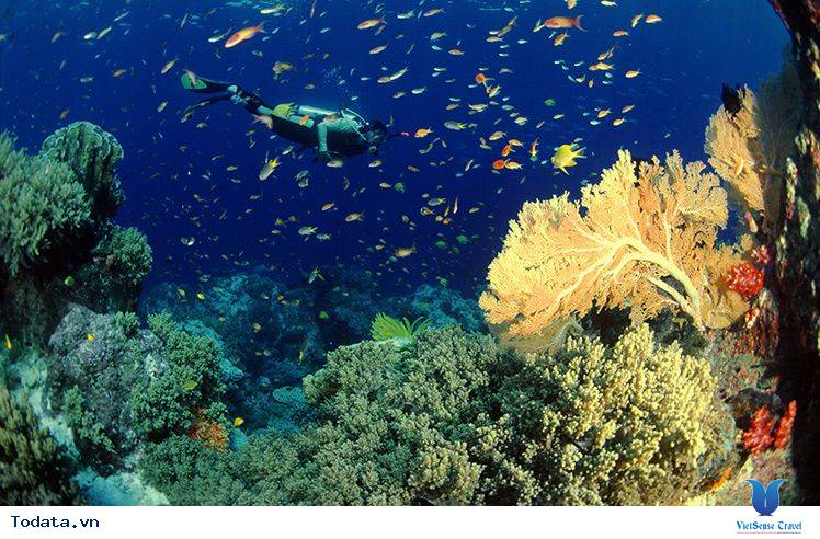 Du lịch Thái Lan - điểm đến đầy hấp dẫn cho người Việt - Ảnh 3