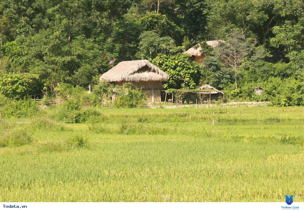 Dừng Chân Nơi Cánh Rừng Mát - Ảnh 4 Dừng Chân Nơi Cánh Rừng Mát - Ảnh 4