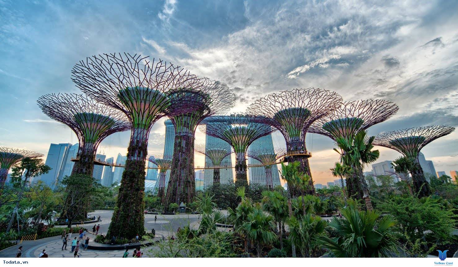 Gardens By The Bay- Khu Vườn Nhân Tạo Khổng Lồ Của Singapore - Ảnh 9