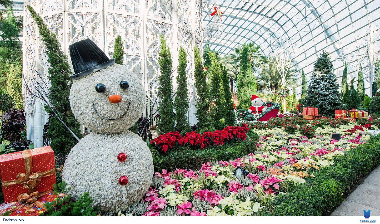 Gardens By The Bay- Khu Vườn Nhân Tạo Khổng Lồ Của Singapore - Ảnh 13