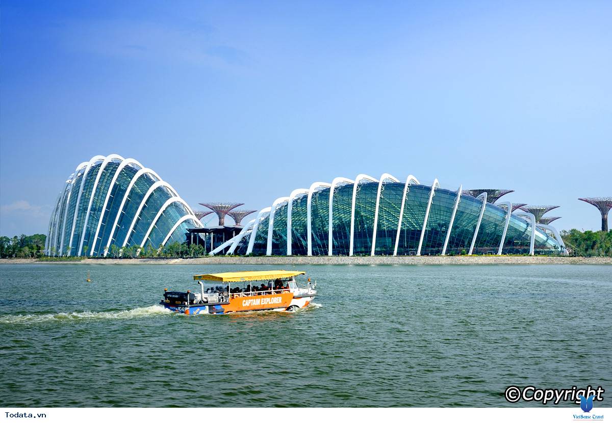 Gardens By The Bay- Khu Vườn Nhân Tạo Khổng Lồ Của Singapore - Ảnh 2