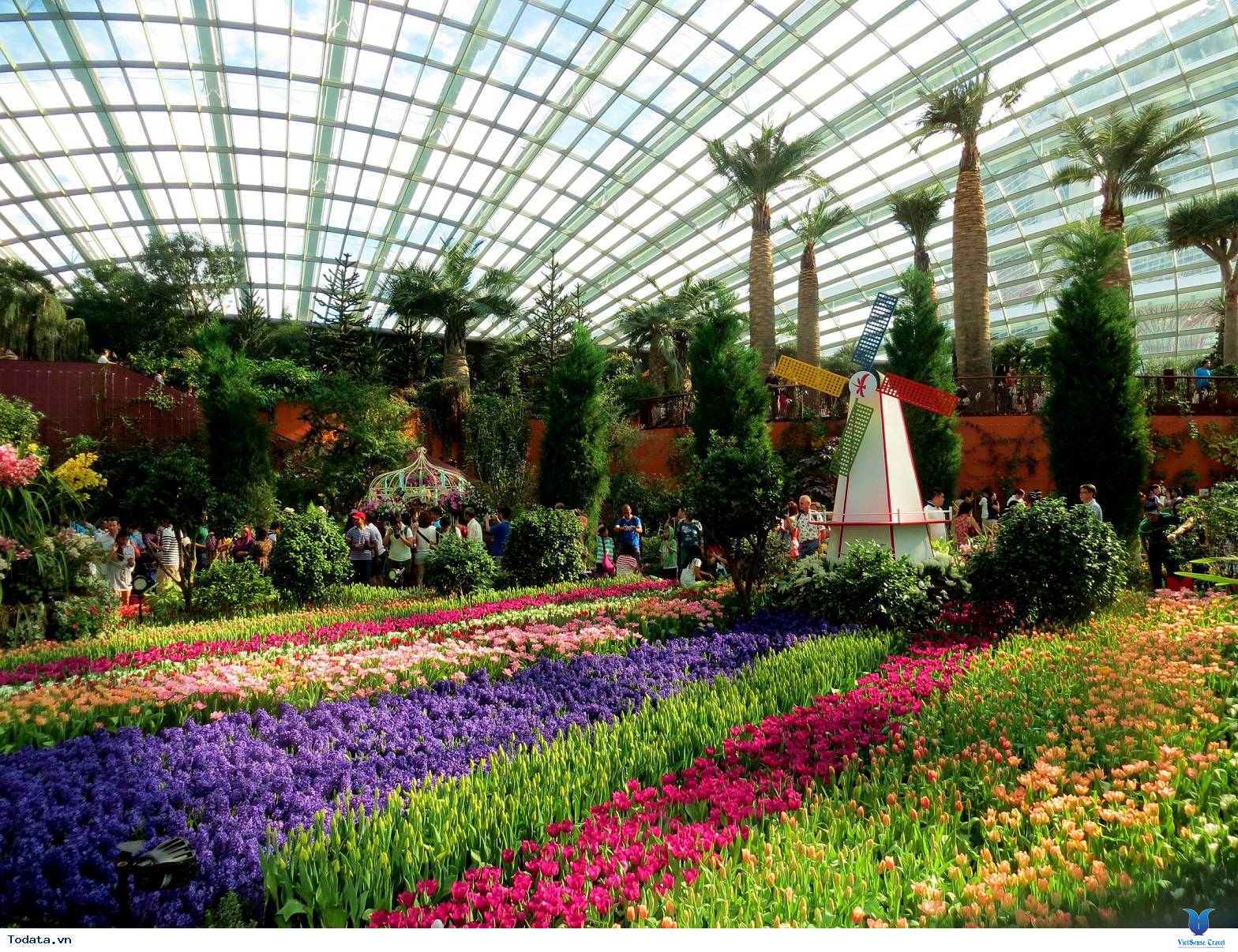 Gardens By The Bay- Khu Vườn Nhân Tạo Khổng Lồ Của Singapore - Ảnh 6