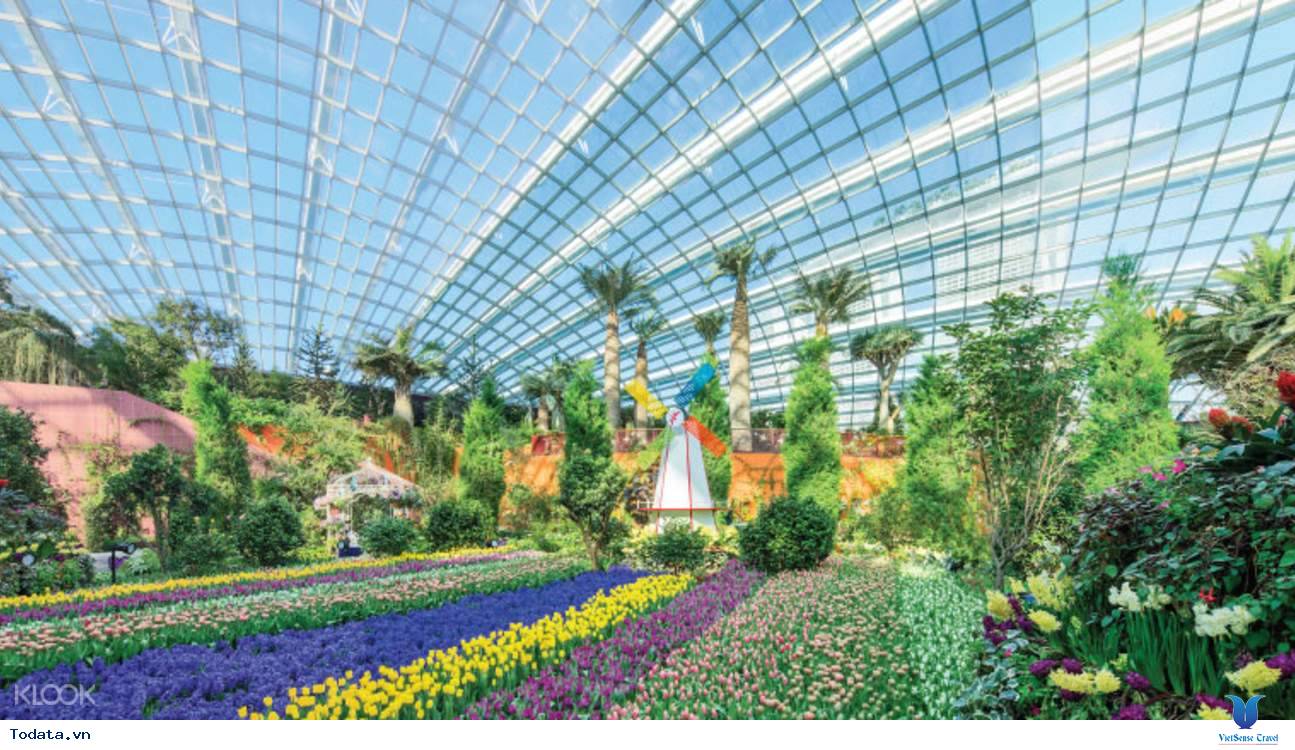 Gardens By The Bay- Khu Vườn Nhân Tạo Khổng Lồ Của Singapore - Ảnh 5