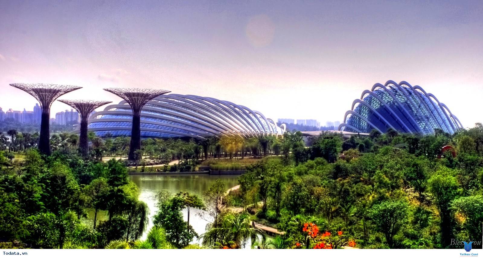 Gardens By The Bay- Khu Vườn Nhân Tạo Khổng Lồ Của Singapore - Ảnh 4