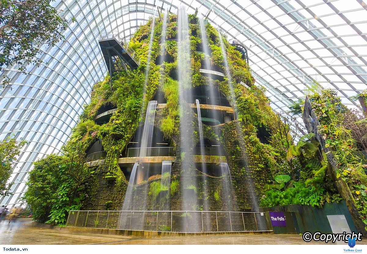 Gardens By The Bay- Khu Vườn Nhân Tạo Khổng Lồ Của Singapore - Ảnh 7