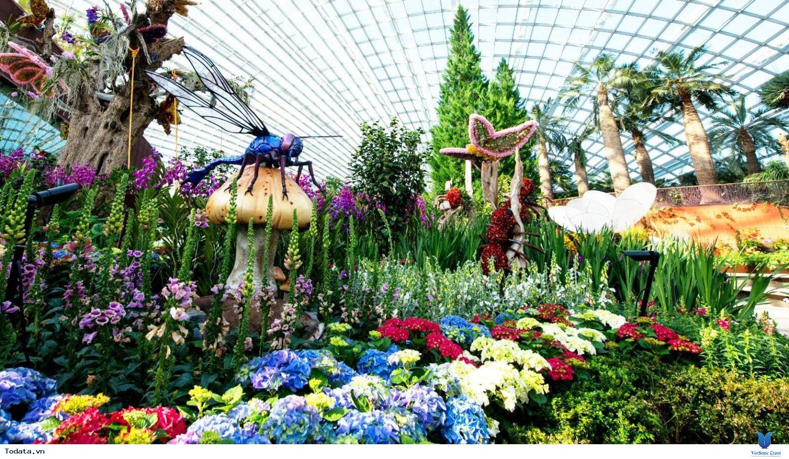 Gardens By The Bay- Khu Vườn Nhân Tạo Khổng Lồ Của Singapore - Ảnh 8