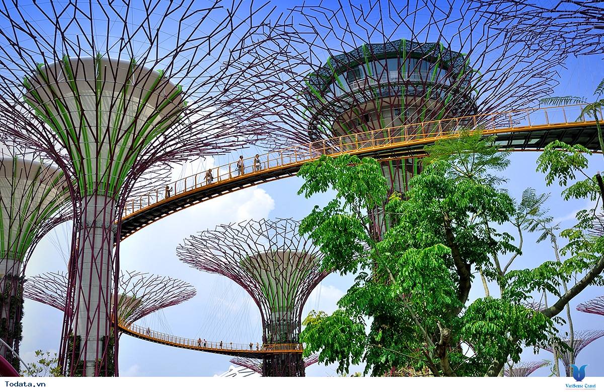 Gardens By The Bay- Khu Vườn Nhân Tạo Khổng Lồ Của Singapore - Ảnh 10
