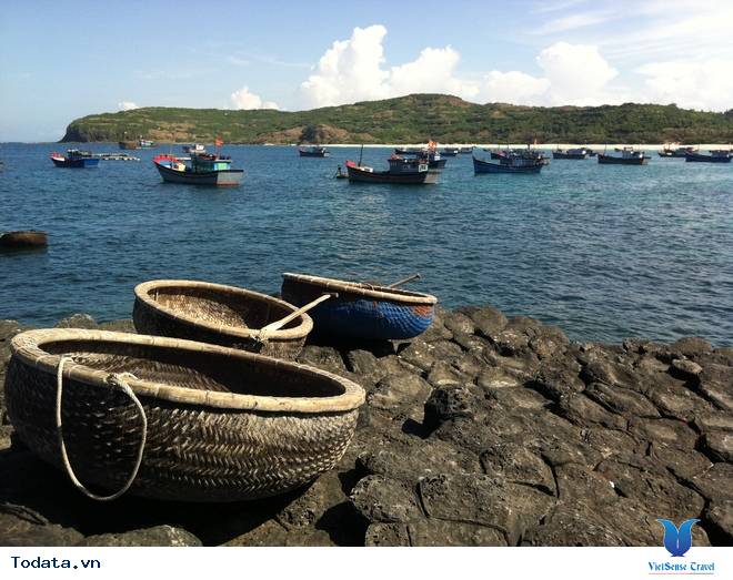 Gềnh Đá Đĩa - Kiệt Tác Thiên Nhiên Ban Tặng Phú Yên - Ảnh 4