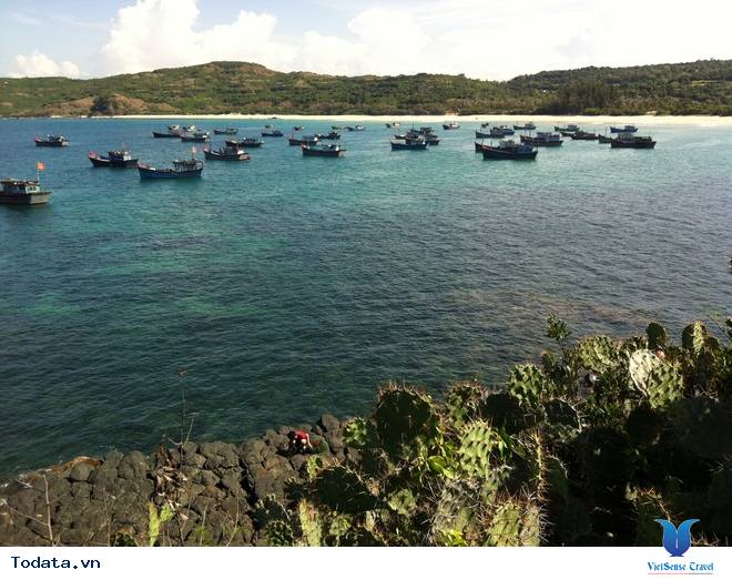 Gềnh Đá Đĩa - Kiệt Tác Thiên Nhiên Ban Tặng Phú Yên - Ảnh 9