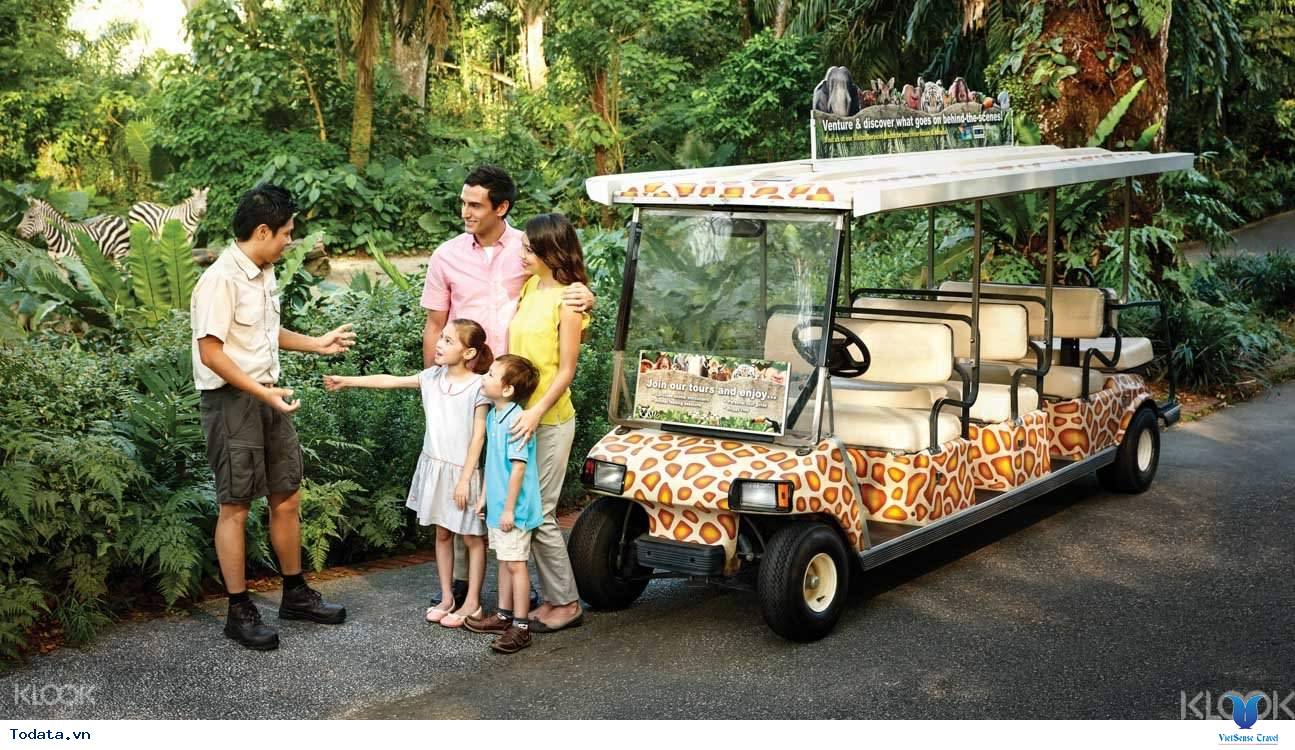 Ghé Thăm Vườn Thú Hoang Dã Đẹp Nhất Singapore (Singapore Zoo) - Ảnh 10