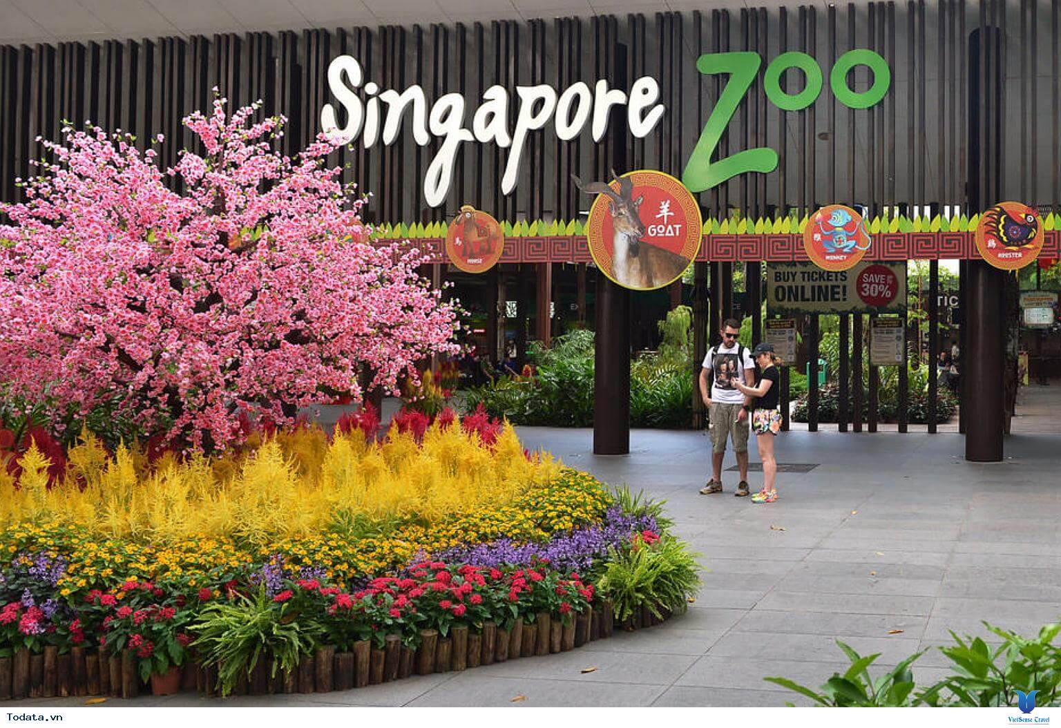 Ghé Thăm Vườn Thú Hoang Dã Đẹp Nhất Singapore (Singapore Zoo) - Ảnh 1