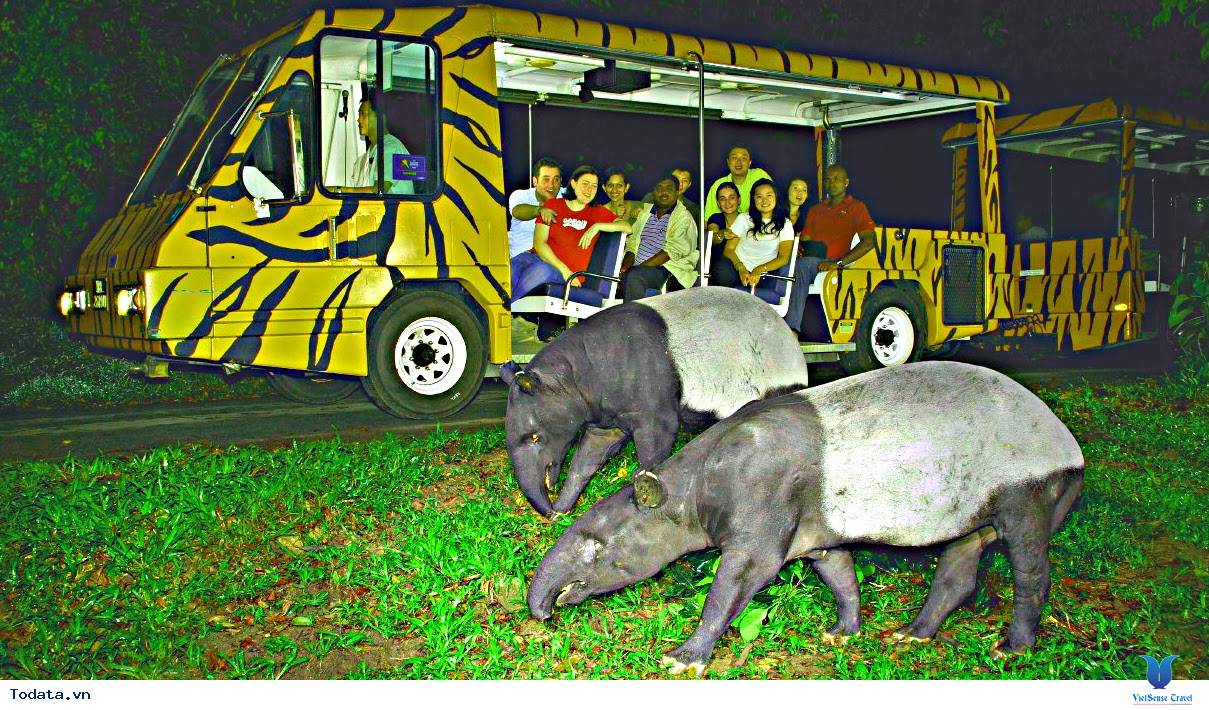 Ghé Thăm Vườn Thú Hoang Dã Đẹp Nhất Singapore (Singapore Zoo) - Ảnh 3