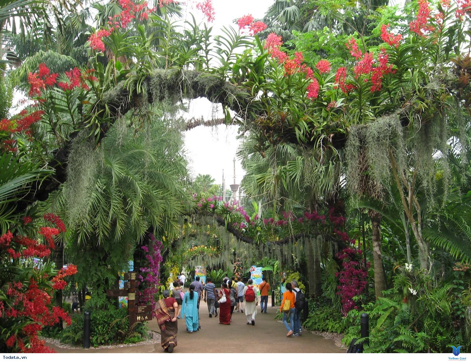 Ghé Thăm Vườn Thú Hoang Dã Đẹp Nhất Singapore (Singapore Zoo) - Ảnh 9