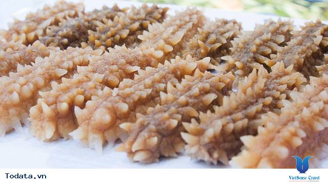 Hải Sâm, Món Ngon Bổ Dưỡng Khi Đi Du Lịch Biển Quan Lạn - Ảnh 2 Hải Sâm, Món Ngon Bổ Dưỡng Khi Đi Du Lịch Biển Quan Lạn - Ảnh 2