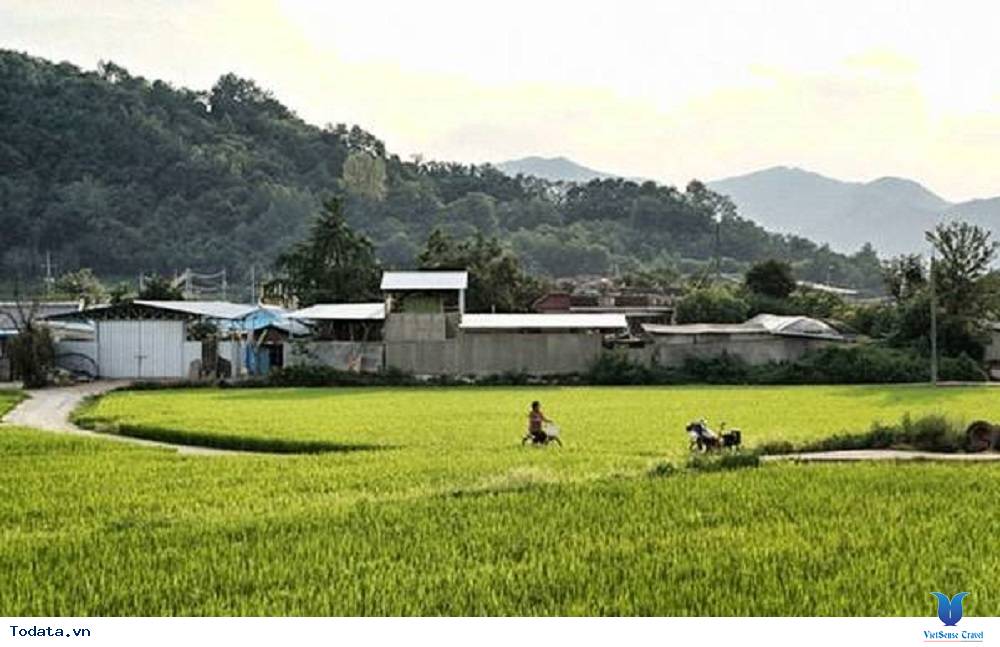 Hàn Quốc có gì đặc biệt cuốn hút du khách - Ảnh 1