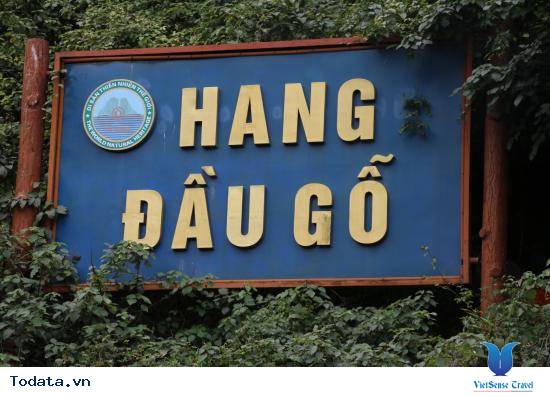 Hang Đầu Gỗ, Nơi Hội Ngộ Kì Quan - Ảnh 1