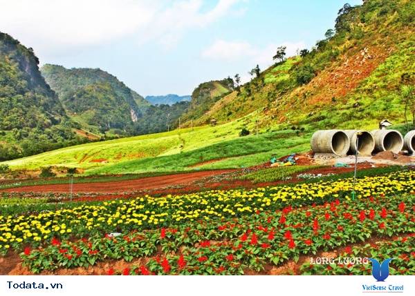 Happy Land Mộc Châu Thiên Đường Trên Cao Nguyên - Ảnh 3 Happy Land Mộc Châu Thiên Đường Trên Cao Nguyên - Ảnh 3