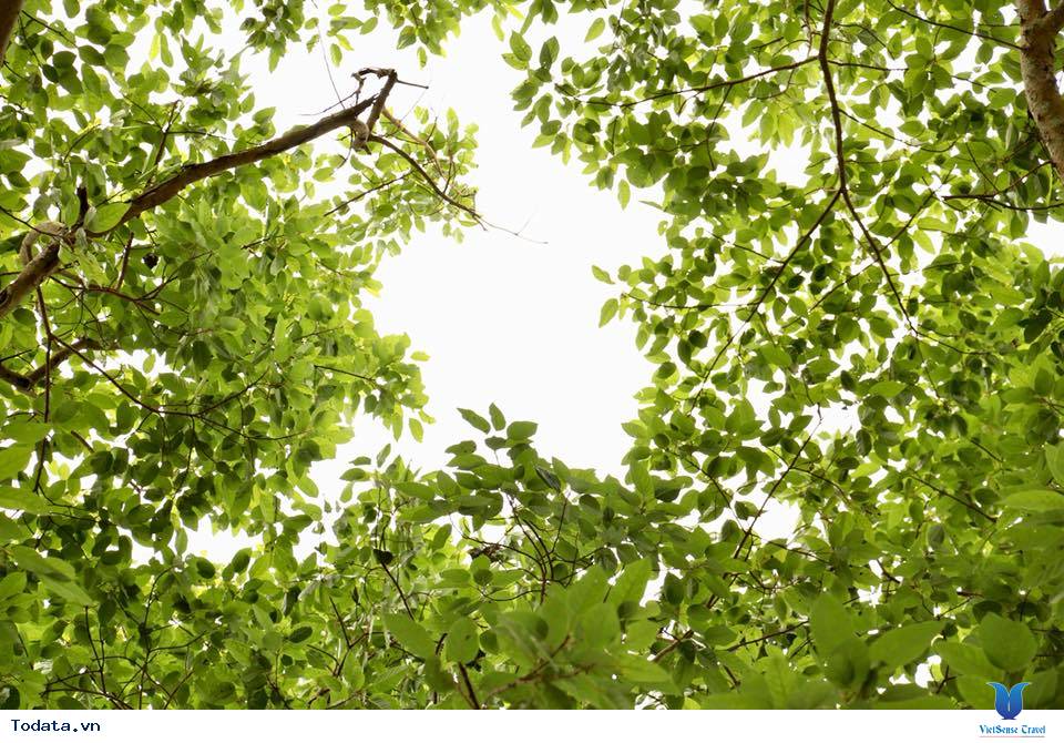 Hồ Ba Bể, Chốn Bồng Lai Nơi Hạ Giới - Ảnh 8