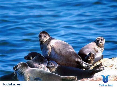 Hồ Baikal - thiên đường nghỉ dưỡng của đất nước Nga - Ảnh 3 Hồ Baikal - thiên đường nghỉ dưỡng của đất nước Nga - Ảnh 3