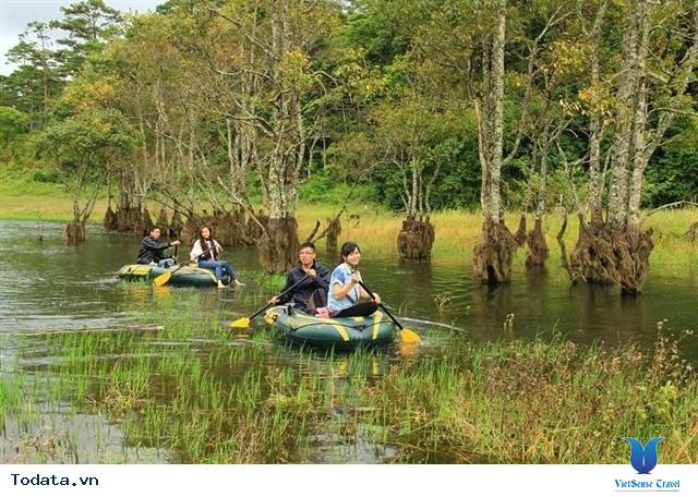 Hồ Tuyền Lâm Có Gì Đặc Sắc - Ảnh 6 Hồ Tuyền Lâm Có Gì Đặc Sắc - Ảnh 6