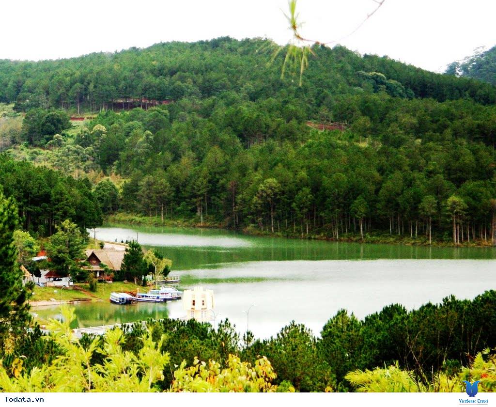 Hồ Tuyền Lâm Có Gì Đặc Sắc - Ảnh 5 Hồ Tuyền Lâm Có Gì Đặc Sắc - Ảnh 5